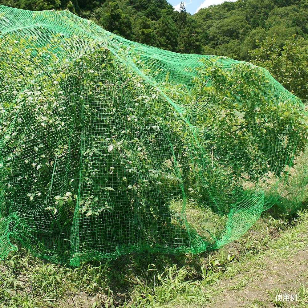 Amazon.co.jp: 国華園 丈夫な防鳥ネット 3×50m 1巻1組 : DIY・工具